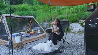 Camping Vlog. High mountain campsite Summer camping with dogs in a small tent