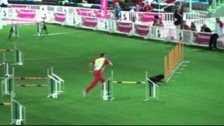 Andreas Zukal, AUT, Jumping Large, Agility WC 2011