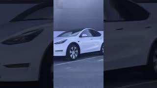 #TESLA MODEL Y #short #ytshort @ezauto.lv