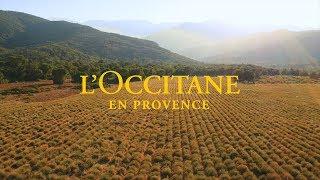 L’OCCITANE en Provence: Sustainable Business Is Smart Business
