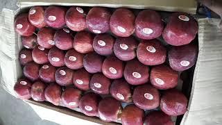 Shimla Apple season running Hyderabad fruit market