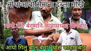नोंथांआबो बेमार 100%सोखाजानो नामा//Ganw rwngwi bemar pwrni takwi//सिनथा खालामनांला