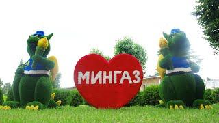 МИНГАЗ для молодежи