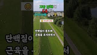 지방 분해에 도움 되는 음식 3가지 – 시니어 건강 다이어트 식단 #지방분해 #녹차효능 #아보카도효능 #달걀다이어트  #9988건강정보