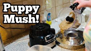 How To Wean Puppies! How To Make Puppy Mush!