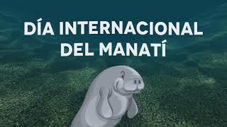 07 de septiembre - Día Internacional del Manatí