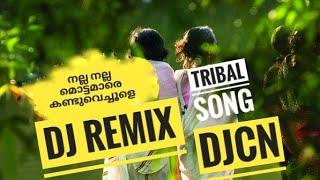 Nalla nalla mottamare |Story telling |Tribal song DJ REMIX | DJCN|