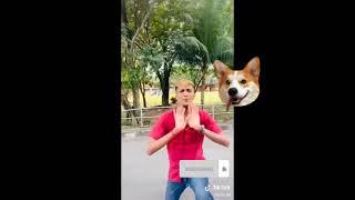 Joki Tiktok comedy Troll - tik tok comedy most popular