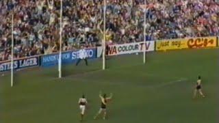 Michael Roach goal vs Essendon 1986