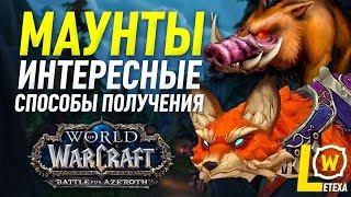 ИНТЕРЕСНЫЕ МАУНТЫ В WOW И СПОСОБЫ ИХ ПОЛУЧЕНИЯ