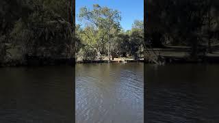 My old swimming grounds & jumping off the water pipe - Success Hill Reserve