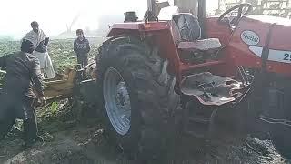 ATS 290