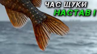 ЩУКА СКАЖЕНІЄ! СЕЗОН в РОЗПАЛІ! Ловля Щуки і Судака на ДНІПРІ