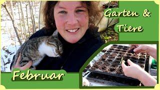 Gartenarbeit im Februar Paprika pikieren Kaninchen, Enten & Hühner