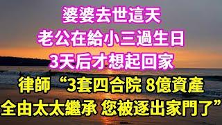 婆婆去世這天，老公在給小三過生日，3天后才想起回家，律師：“3套四合院 8億資產，全部由太太繼承 ，您被逐出家門了”#悠然書影#爽文#大女主#家庭#豪門
