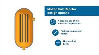 Molten Salt Reactor Fundamentals