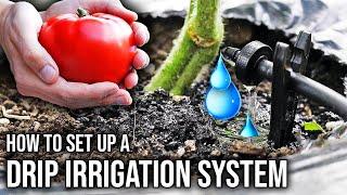 How to Set Up an Automatic Drip Irrigation System for the Garden
