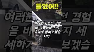 모델 y 주니퍼 테슬라테슬라 모델 Y 주니퍼 출시일정 가격 고고!