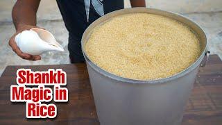 Shankh in Rice Magic - शंख ने चावल में जाकर करा चमत्कार