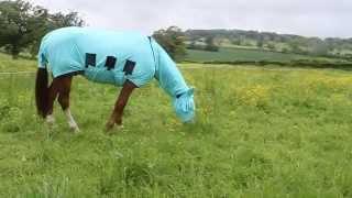 Snuggy Hoods Bug Body Product Feature Video UK 2015