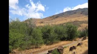 Maui petroglyphs