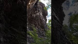 Rock Wall #nature #ozarks #nationalwildliferefuge