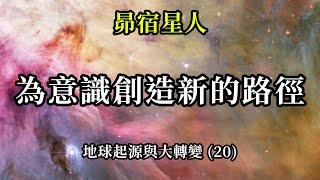 為意識創造新的路徑《昴宿星人》地球起源與大轉變 (20)