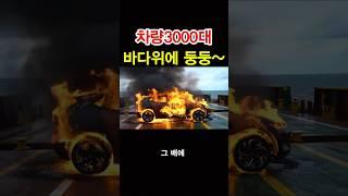 차량3000대 바다위에 둥둥~~ #실화썰 #이슈 #실화사연