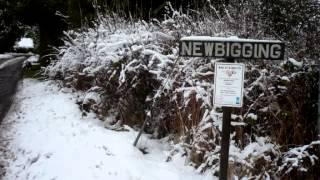 A winters day. Methven, Perthshire.