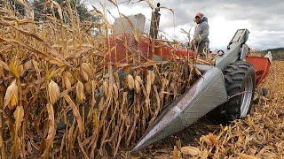 Opening Day of Picking Corn! Harvest 2024!