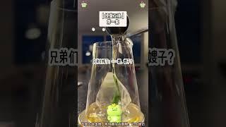 甜寵文：不小心親了一口，從此校霸是我家狗。完結版。#推文  #聽書  #有聲書 #小說 #故事 #一口氣看完 #爽文 #甜寵