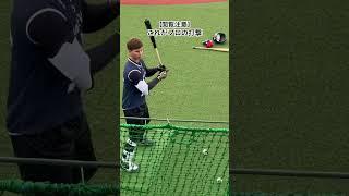 ハンパない迫力 #プロ野球 #ヤクルト #モイセエフニキータ