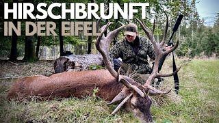 Hirschbrunft in der Eifel - Der Traum vom 1er Hirsch