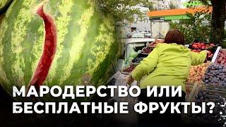 Фрукты даром: как жители воспользовались паникой на рынке в Екатеринбурге