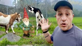 Goat Landscaping & Other Horrible Farm Ideas