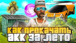 КАК НОВИЧКУ ЗА ЛЕТО - ПРОКАЧАТЬ АККАУНТ на АРИЗОНА РП? ГАЙД на ARIZONA RP 2025 (GTA SAMP)