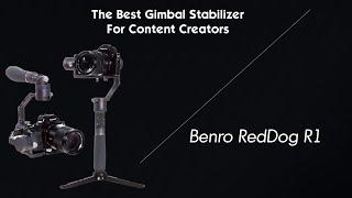 Best Gimbal Stabilizer for Content Creators Benro Red Dog R1 Overview