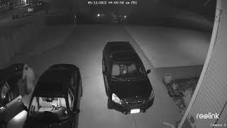 Reolink Captures Car Thieves 4K