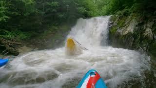 Virginia's Best Micro Creek |Staton's||Low Water Piney|