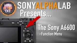 Sony A6600 and The Function Menu (Fn) - How To Use and Customize...