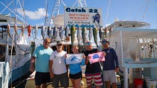 The Sailfish Are Starting to Show Up! - November Fishing Report