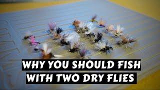 Why You Should Fish with Two Dry Flies | Tom Rosenbauer