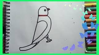 how to drawparrot Drawing from number 5/parrot Drawing easy /parrot Drawing with colour #easydrawin