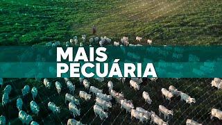 Mais Pecuária | 10/02/2025