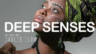 Darles Flow - Deep Senses | Deep Afro House | Vocal Mix |