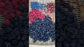 Berry harvest #gardenharvest #gardening #garden #harvest #backyardgarden