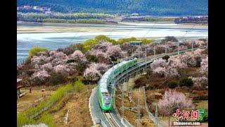 我们的家园·西藏篇丨拉林铁路：雪域高原上的一道靓丽风景