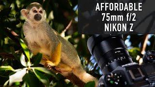 Nikon Z Mount Full Frame Portrait Lens at f/2 for Under $200?! TTArtisan 75mm f/2