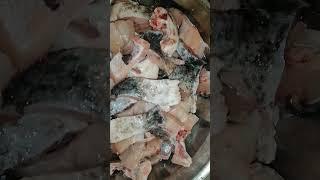 cooking tuna fish  in severe cold weather @Tunafishtim @TunaLeeNe