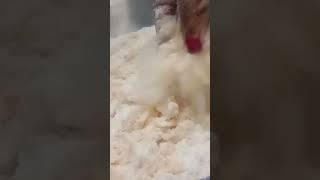 Masala Gavvalu ll Charitha Vlogs ll #trending